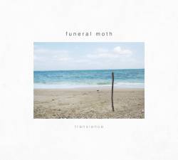Funeral Moth : Transience